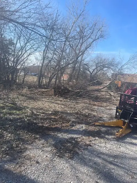 Brush and trees cleared along a gravel drive