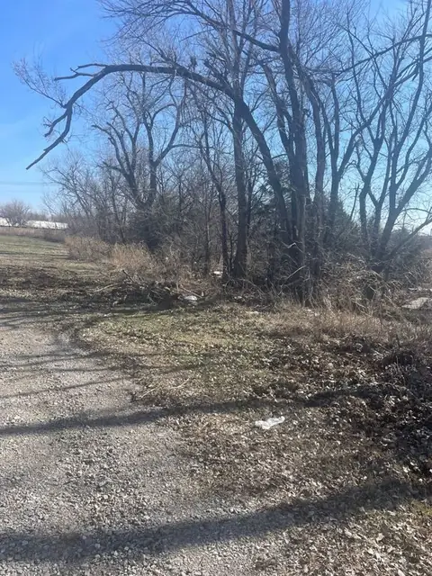 Tree line along a gravel drive during land clearing