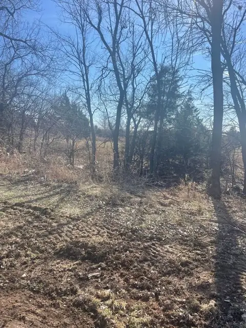 Wooded lot with the undergrowth cleared