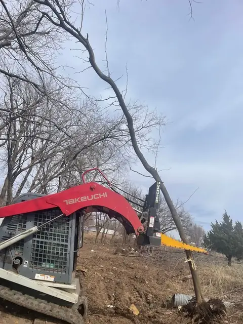 Takeuchi track loader pushing over a tree