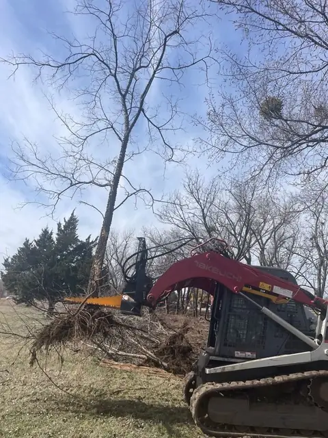 Track loader with a tree grapple clearing a tree