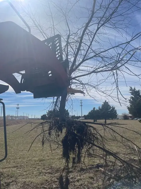 Uprooted tree lifted by the grapple