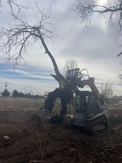Track loader clearing a tree from a field