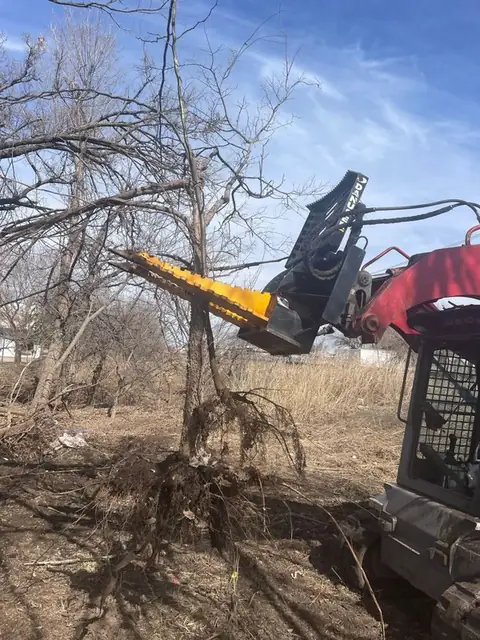 Grapple pulling a small tree out of tall grass