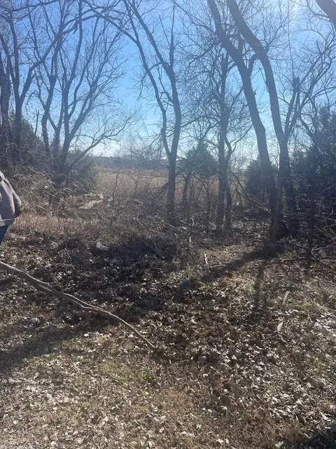 Wooded lot during brush clearing