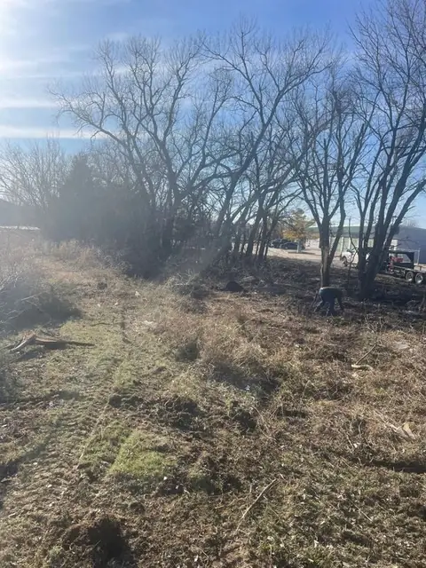 Overgrown ground being cleared