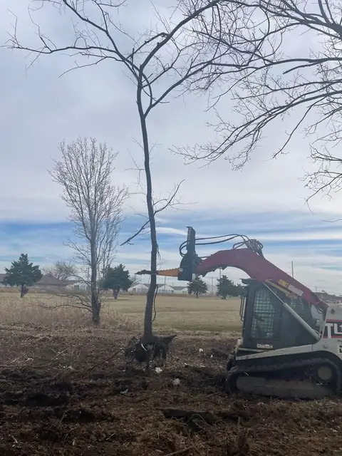 Track loader removing a single tree