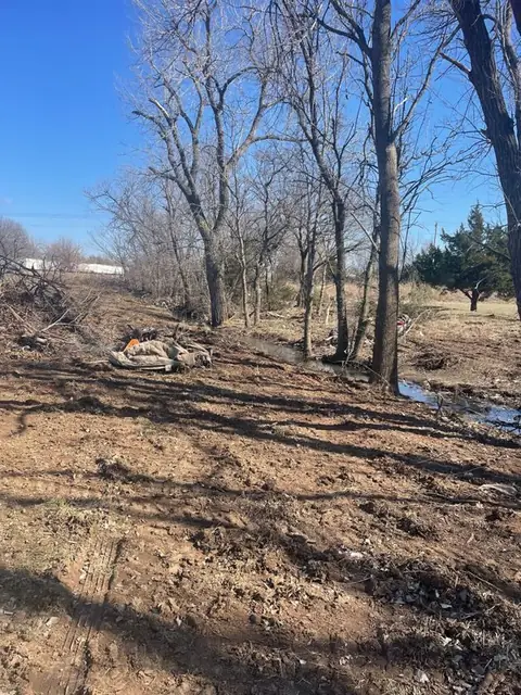 Cleared ground along a creek tree line