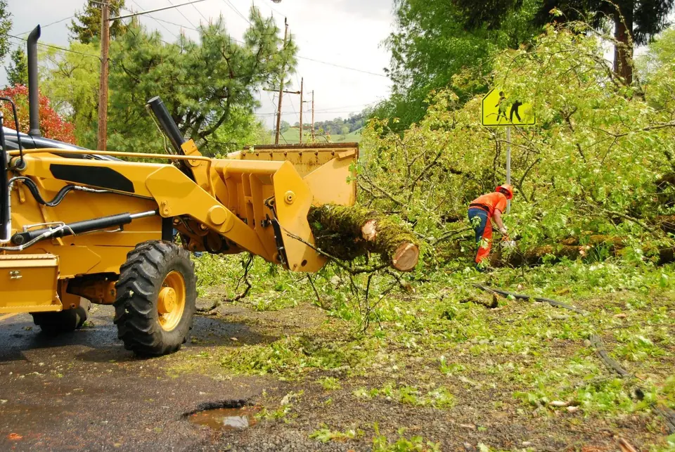 Mike's Bobcat Service clearing trees and debris
